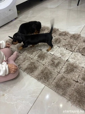 pest megye abony  - kép 4