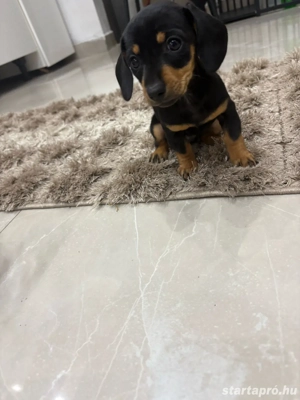 pest megye abony  - kép 2