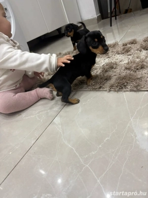 pest megye abony  - kép 3