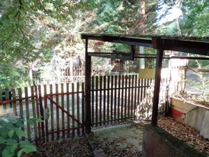 Kismaroson Börzsönyligeti nyaraló eladó - kép 15