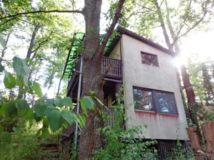 Kismaroson Börzsönyligeti nyaraló eladó - kép 12