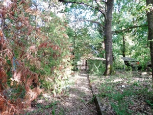 Kismaroson Börzsönyligeti nyaraló eladó - kép 14