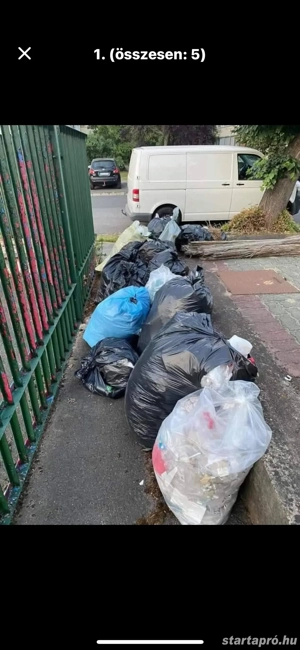   Lomtalanitas   - kép 3