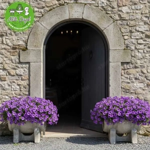 Boroshordó kő virágtartó - kép 3