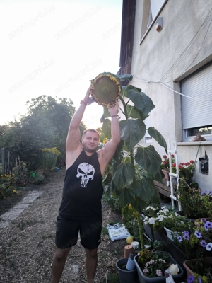 A jó dolgok a semmiből jönnek. - kép 2