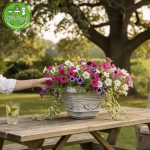 Virágláda bejárathoz kocka kaspó