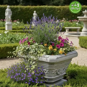 Virágláda bejárathoz kocka kaspó - kép 5