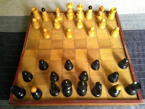 Sakk klt.több évesek.