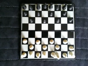 Sakk klt.több évesek. - kép 2