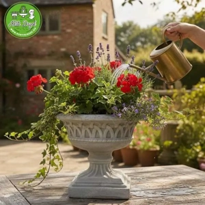 TeraszKlasszik kaspó - kép 5