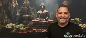 Ingyenes Karácsonyi! - kép 2