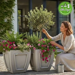 Kő kaspó leanderhez