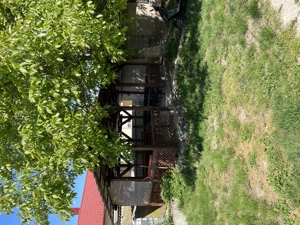 Eladó Ház Merk Szabolcs Szatmár Bereg megyebe 12 km Nagykarolybol - kép 13