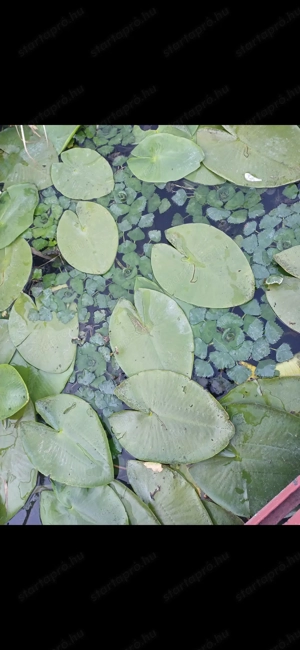 Személyi asszisztensi munkát keresek 