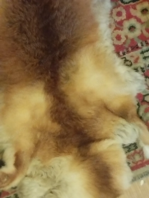 Róka szőr  - kép 2