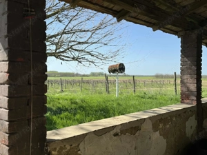 Tiszakürt-Bogarasban felújítandó tanya eladó. - kép 8