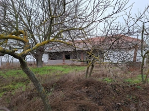 Tiszakürt-Bogarasban felújítandó tanya eladó. - kép 9