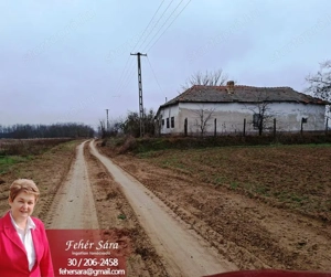 Tiszakürt-Bogarasban felújítandó tanya eladó.