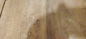 szent partik nyomat - kép 5