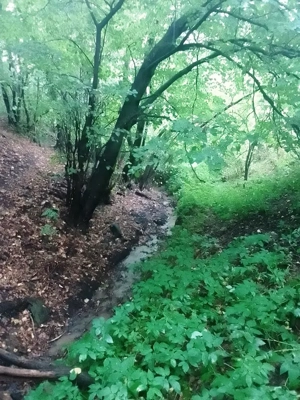 Börzsöny-Márianosztrán eladó patak parti ház - kép 12