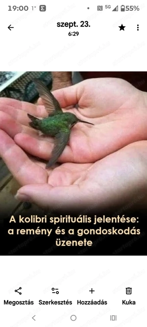 Napi kifizetéses budapesti MUNKÁT keresek! Kérem olvassa végig!