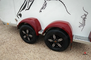 Új Böckmann Neo lószállító utánfutó rendszámmal most csak bruttó 11.200.000 Ft - kép 6