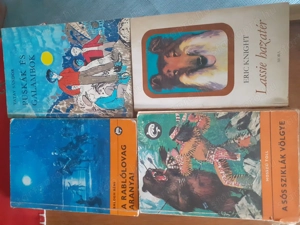 Ifjusági könyvek - kép 4