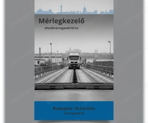 Mérlegkezelő Kollégát keresünk