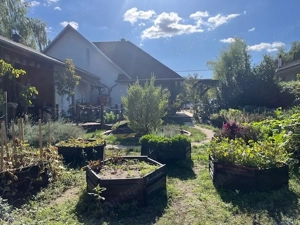 Szigethalmon felújított 4+ 2 szobás családiház 746 nm telekkel - kép 3