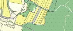 Eladó 11.700 m2-es szőlő ültetvény Szendehelyen.  - kép 4