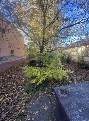 Kiskunhalas központban 6 szobás felújítandó ház garázzsal, nagy lehetőségekkel! - kép 13