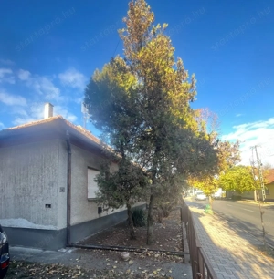 Kiskunhalas központban 6 szobás felújítandó ház garázzsal, nagy lehetőségekkel! - kép 12