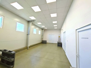 Baja ipari területén rezsimentes telephely céggel vagy anélkül eladó! - kép 4