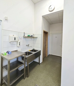 Baja ipari területén rezsimentes telephely céggel vagy anélkül eladó! - kép 6