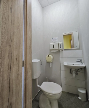 Baja ipari területén rezsimentes telephely céggel vagy anélkül eladó! - kép 8