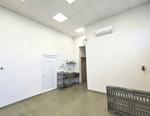 Baja ipari területén rezsimentes telephely céggel vagy anélkül eladó! - kép 10