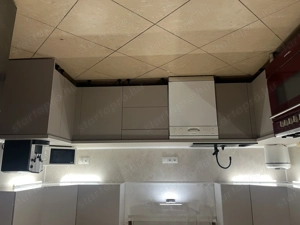 Maine Coon kiscicák - kép 3