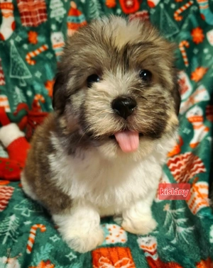 Csodaszép kislány egyedi szinben