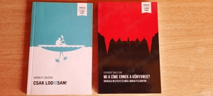 Fejtörők, matematikai és logikai könyvek, IQ új irodalmi könyv ifjúsági - kép 5