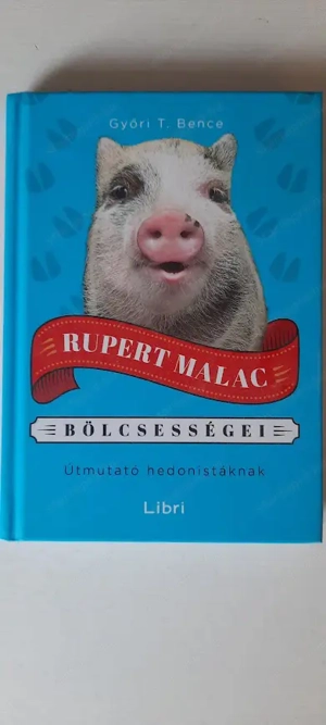 Rupert malac vicces kiskönyv új 