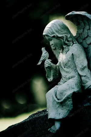 Állásokat keresnék