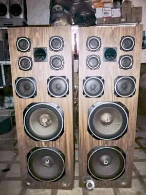 Nagy teljesítményű sok hangszórós épített hangfal pár, Omega logóval