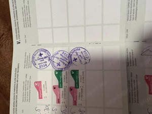 Kuvasz kutya eladó jászapátin