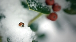 Munkákat találnék