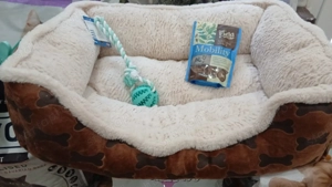 GARÁZSVÁSÁR! 18. kerület - kép 13