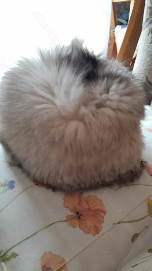 Jó állapotban lévő alig használt igazi rókabunda eladó!