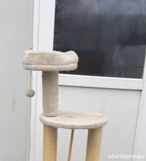 Macska kaparófa eladó - kép 2