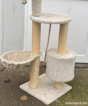 Macska kaparófa eladó - kép 3