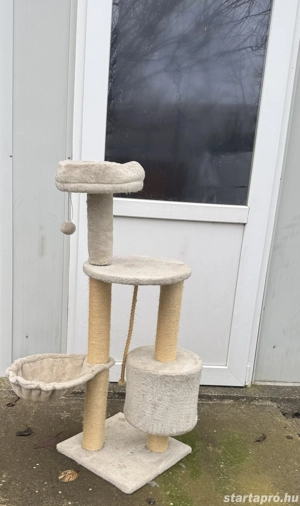 Macska kaparófa eladó