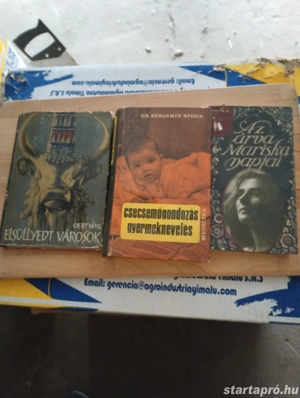 Elsüllyedt városok Siegfried Oertwig Gondolat Kiadó, 1966  2000ft óbuda személyes átvétel óbudán lak